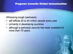 Global Immunisation Slide 036