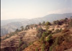 Journeys through Rural General Practice Slide 006