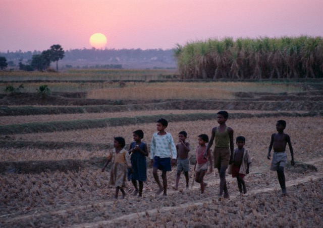 Journeys through Rural General Practice Slide 022