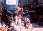 Journeys through Rural General Practice Slide 073