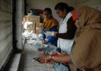 Journeys through Rural General Practice Slide 086