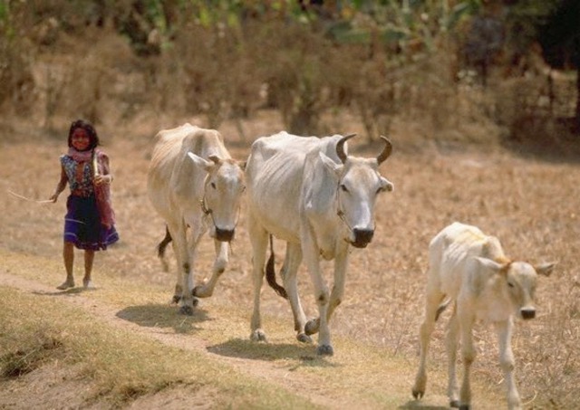 Journeys through Rural General Practice Slide 129
