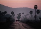 Journeys through Rural General Practice Slide 134