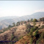 Developing Family Medicine in India - 07